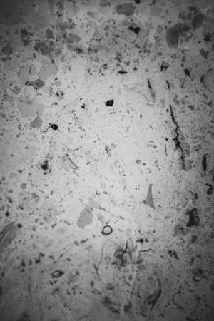 Black and white paint texture, vintageの写真素材
