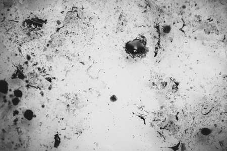 Black and white paint texture, vintageの写真素材