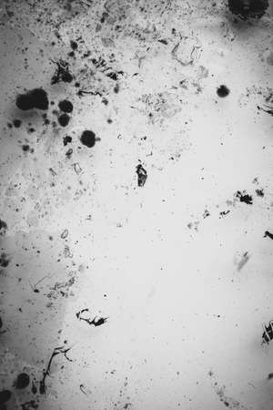 Black and white paint texture, vintageの写真素材