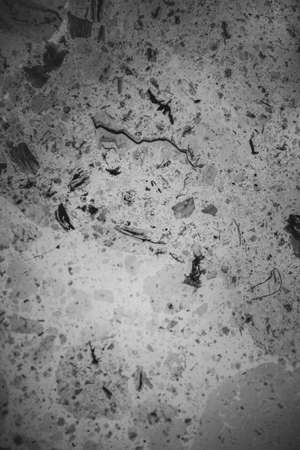 Black and white paint texture, vintageの写真素材