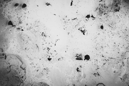 Black and white paint texture, vintageの写真素材