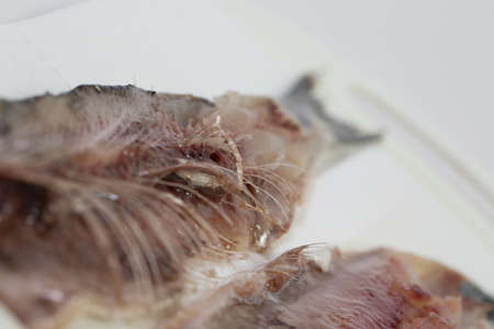 Meat and bones of fresh herring for a delicious dish, carve fishの写真素材