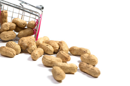 Peanuts in a shell in a shopping cart on a white background, healthy foodの写真素材