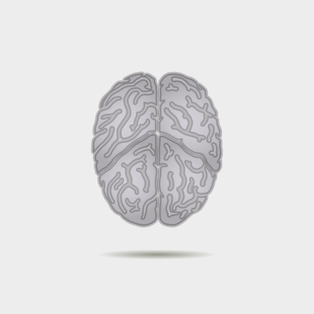 the human brainのイラスト素材