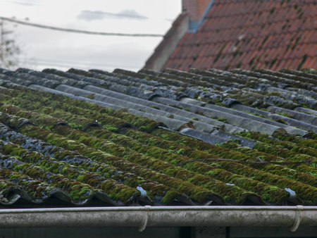 Moss on a fiber cement roofの写真素材
