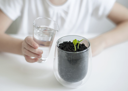 Little toddler girl is holding a transparent glass with water and watering young plant. Caring for a new life. The child's hands. Selective focus. Earth day holiday concept. World Environment Dayの写真素材