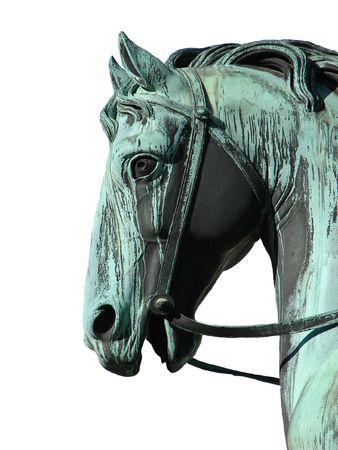   horse                             の写真素材