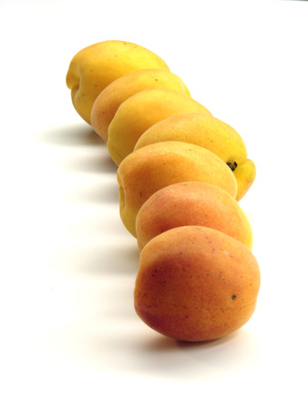  apricots                              の写真素材