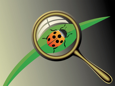 ladybirdのイラスト素材