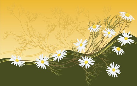 chamomilesのイラスト素材