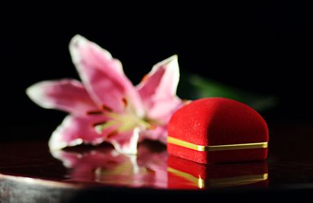 pink lily and gift,shallow DOF