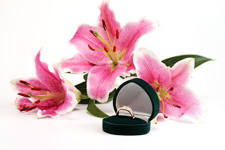 pink lily and ring on a white backgroundの写真素材