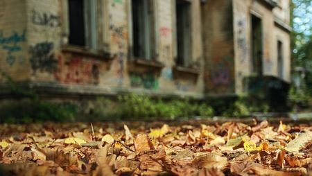 Autumn.Old .Focus on a foreground.の写真素材