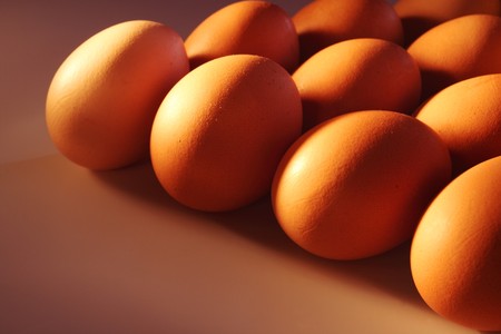Some eggs at weak illuminationの写真素材