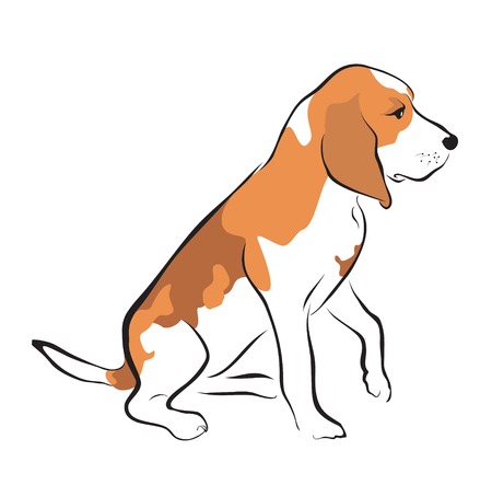 beagle puppy on white backgroundのイラスト素材