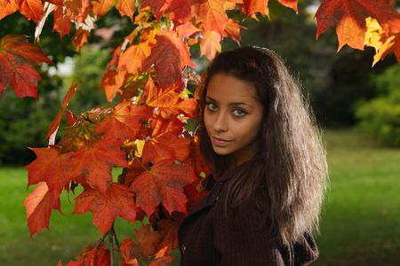 young girl in autumn park の写真素材