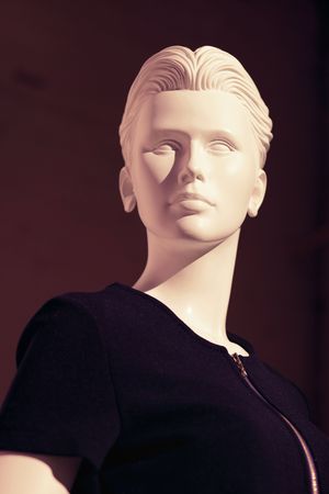 plastic dummy ,shallow DOF,ficus on a faceの写真素材