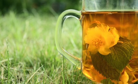 Glass with jasmine tea on a grassの写真素材