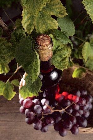 bottle with pink wine and grape in basket,focus on a cork.の写真素材