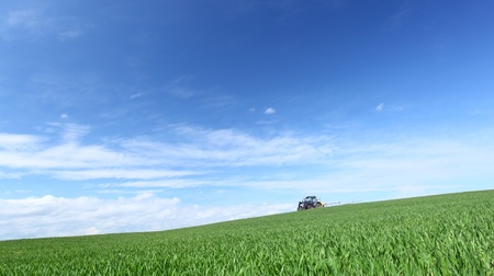 Field in a sunny day.Focus on a foreground.の写真素材