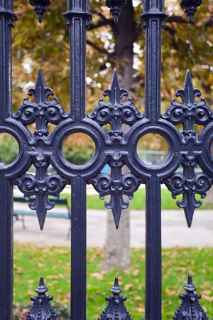 fragment of iron gate in Vienna.
の写真素材