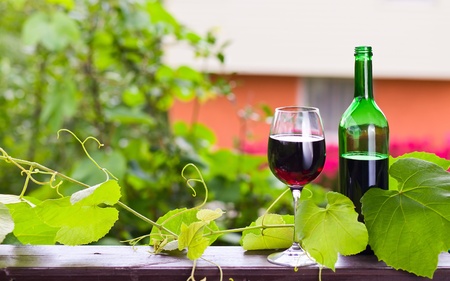 bottle and glass with red wine in vineyard.の写真素材