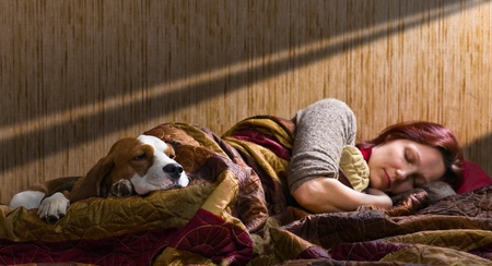 The sleeping woman and its dog , focus on a dog.の写真素材
