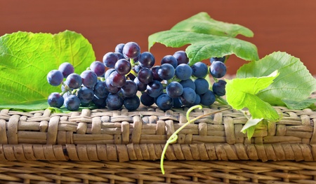 blue grape with leaves on a wattled table.の写真素材