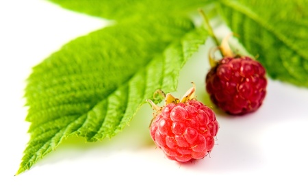 ripe red raspberry on a white backgroundの写真素材