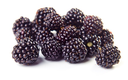 ripe  blackberry isolated on a white backgroundの写真素材