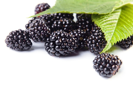 ripe  blackberry isolated on a white background