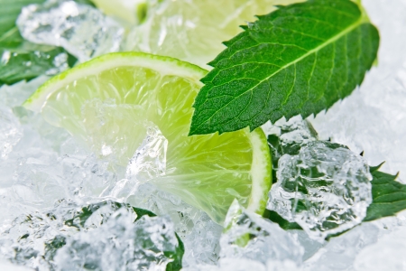 Slices of a lime and leaves of mint with iceの写真素材