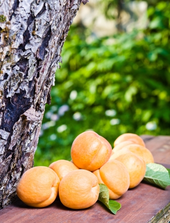 ripe apricots on a old wooden tableの写真素材