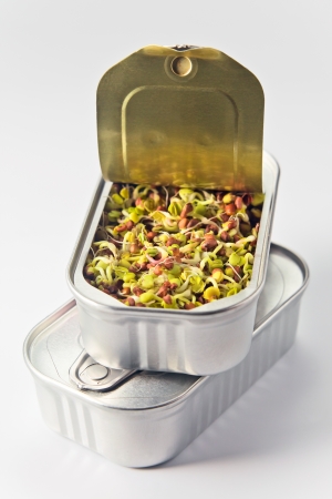 The sprouted seeds in an open can  Symbolizes care for life and the ecosystem for a sustainable future の写真素材