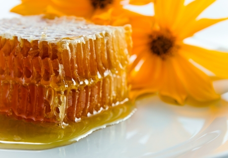 sweet honeycomb with honey and yellow flowerの写真素材