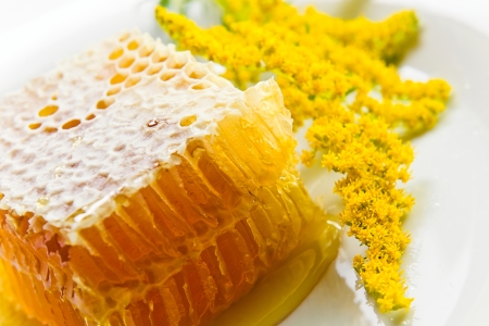 sweet honeycomb with honey and yellow flowerの写真素材