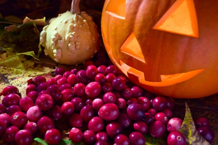 Still-life with pumpkins and cranberry on a yellow leavesの写真素材
