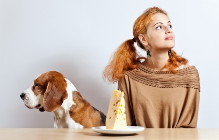 girl with cute beagle and  cheese on a white plateの写真素材