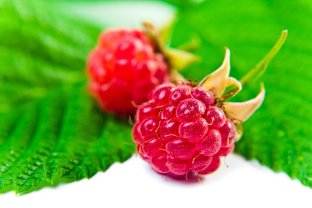 ripe red raspberry isolated on white の写真素材