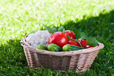 vegetables in basket on a green grassの写真素材