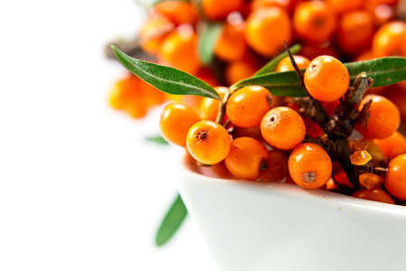 sea-buckthorn berries contain vitamin C , are used in pharmacology, medicine, cosmetology, isolated on whiteの写真素材