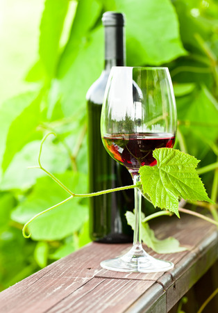  bottle and glass with red wine in vineyard.の写真素材