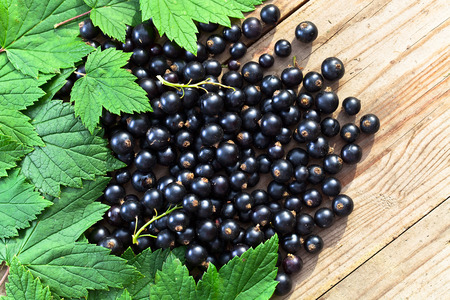 black currant, ripe berries and green leaves on  wooden tableの写真素材