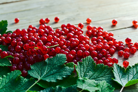 red currant, ripe berries and green leaves on  wooden tableの写真素材