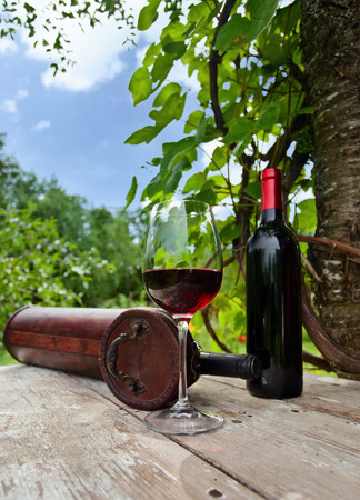  bottle and glass with red wine in vineyard.の写真素材