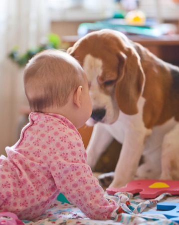 The little girl playing with a dogの写真素材