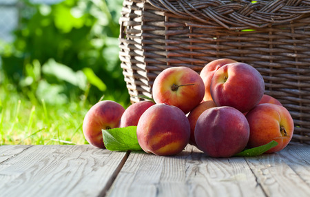 juicy peaches on wooden table in gardenの写真素材
