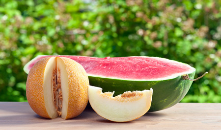 ripe sweet melon on table in gardenの写真素材