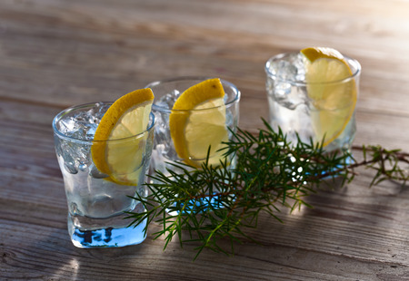 Gin with lemon and juniper branch on  old wooden tableの写真素材