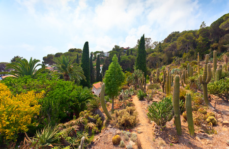 Botanical garden on Mediterranean coast of Spain, Costa Brava , Blanesの写真素材